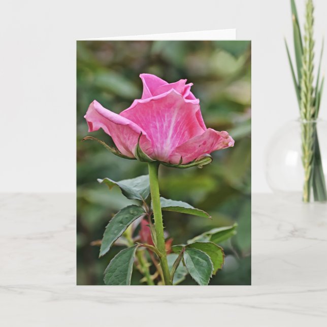 Carte haute rose rose Art (Devant)