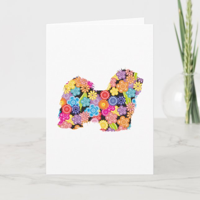 Carte Havanais (Devant)