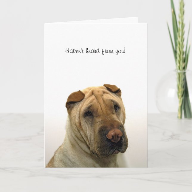 Carte Haven't heard from you (Devant)