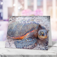 Hawaii Tropical Honu Sea Turtle Photo Détente Scri