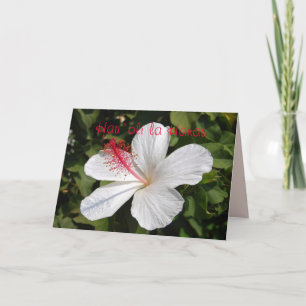 Carte Hawaiian Happy Birthday White Hibiscus Card