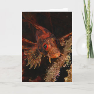Carte Hawaiian Lionfish