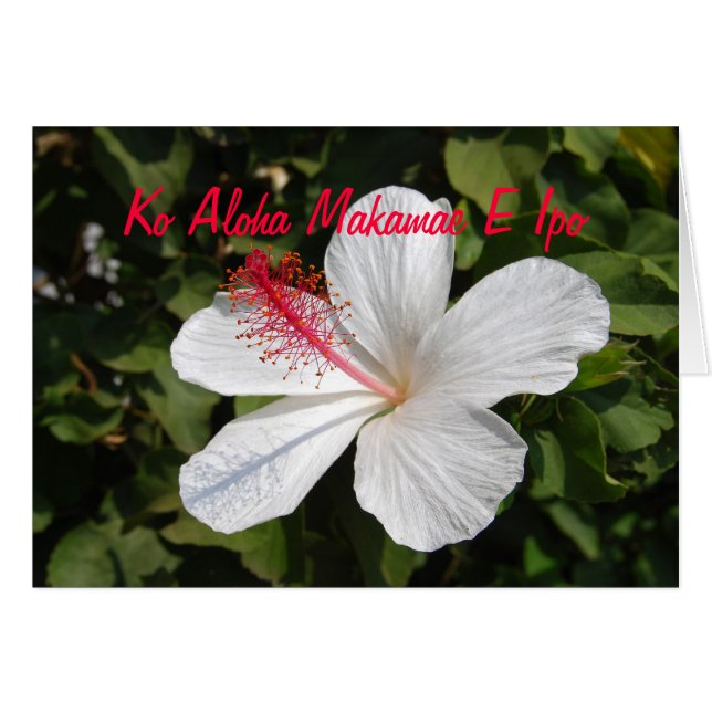 Carte Hawaiian Precious Love White Hibiscus Card (Devant horizontal)
