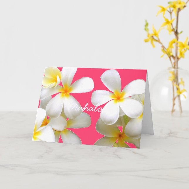 Carte Hawaiian white plumeria greeting card pink (Fleur jaune)