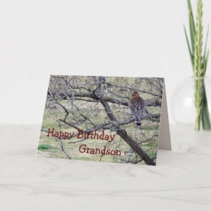 Carte Hawk dans l'arbre - personnaliser toute occasion