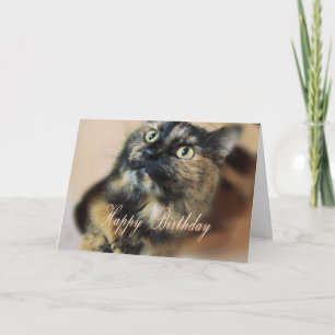 Carte HBD-Tazzie 9055