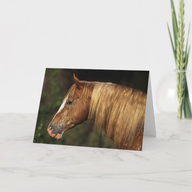 Carte Headshot 1 de cheval d'Appaloosa (Devant)