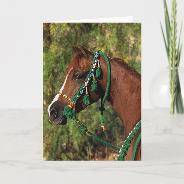 Carte Headshot arabe de cheval avec le frein (Devant)