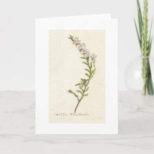 Carte Heather blanche