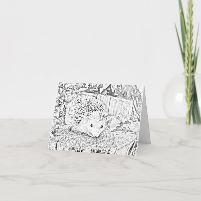 Carte Hedgehog note card (Devant)