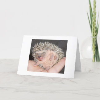 Carte Hedgehog Notecard