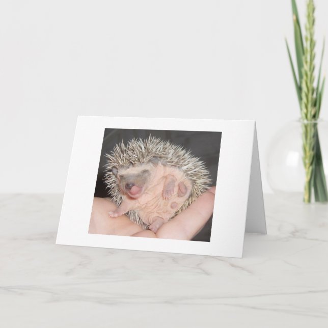 Carte Hedgehog Notecard (Devant)