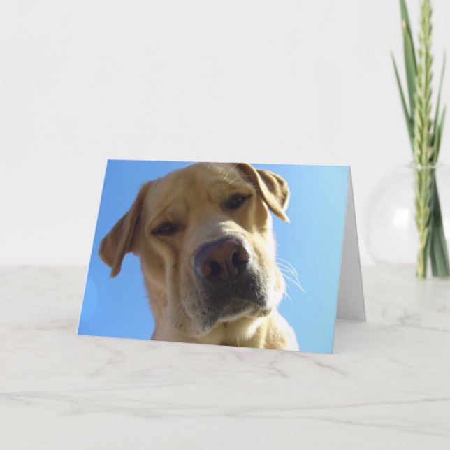 Carte Hein ? (Devant)