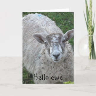 Carte Hello
