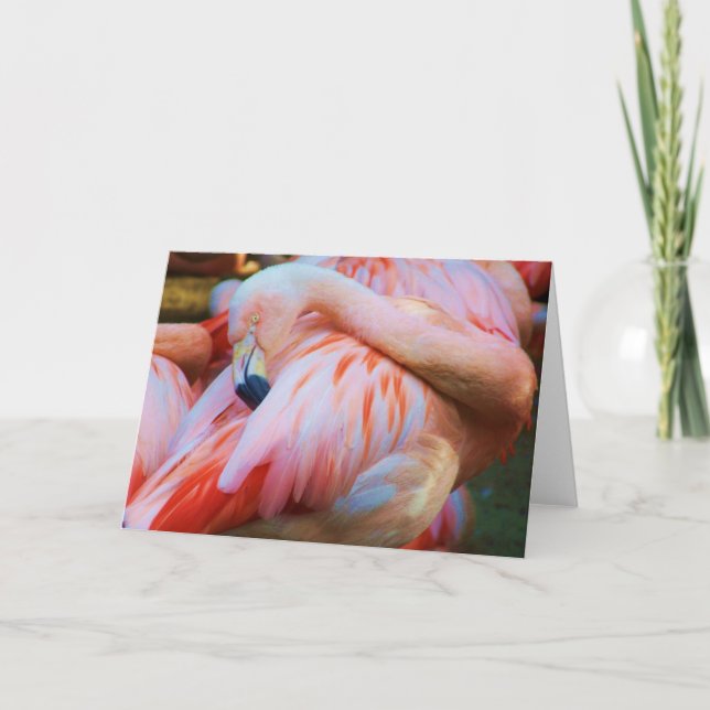 Carte Hello/Any Occasion Card_Card (Devant)