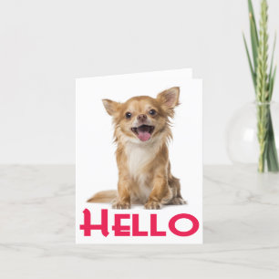 Carte Hello Chihuahua Puppy Dog Blank Notecard