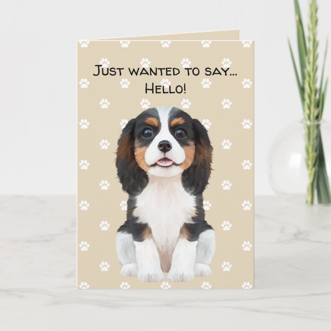 Carte Hello King Charles Spaniel Tri-Color Cavalie (Devant)