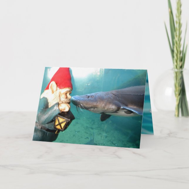 Carte Hello sir II (Devant)