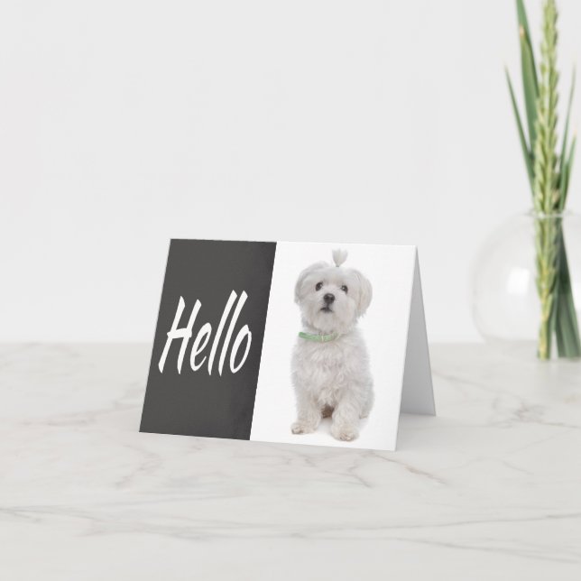 Carte Hello White Maltese Puppy Dog Chalkboard Note Card (Devant)