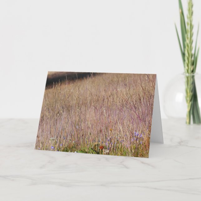 Carte Herbe violette et fleurs sauvages (Devant)