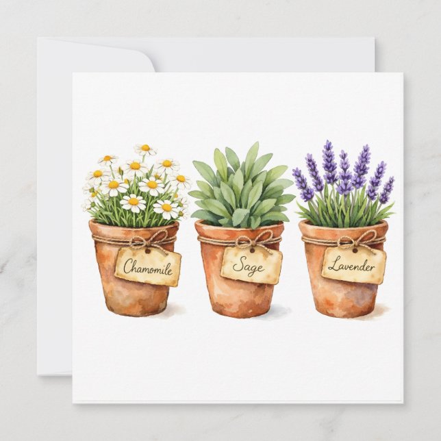 Carte Herbes à l'aquarelle poussant dans les pots  (Devant)