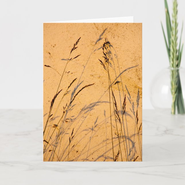Carte Herbes Et Ombres D'Été (Devant)