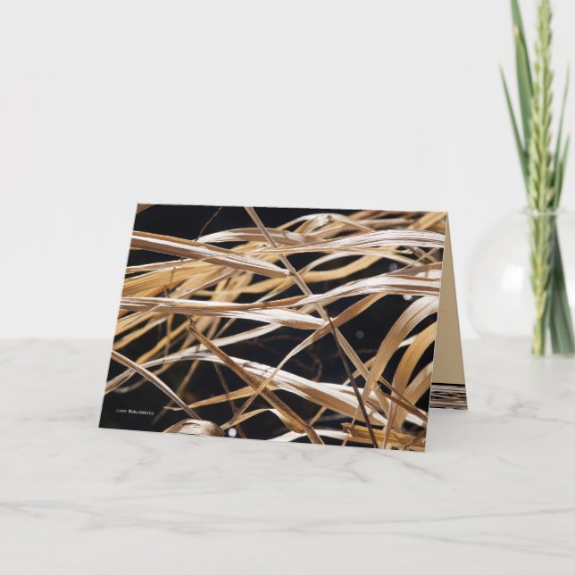 Carte Herbes sèches (Devant)