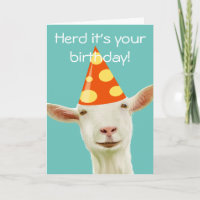 Herd C'est ton anniversaire d'une chèvre drôle