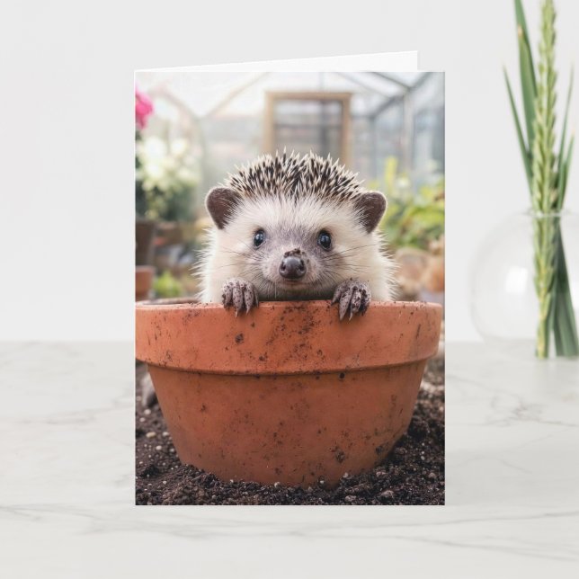 Carte Hérisson d'anniversaire dans un pot de fleurs en a (Devant)