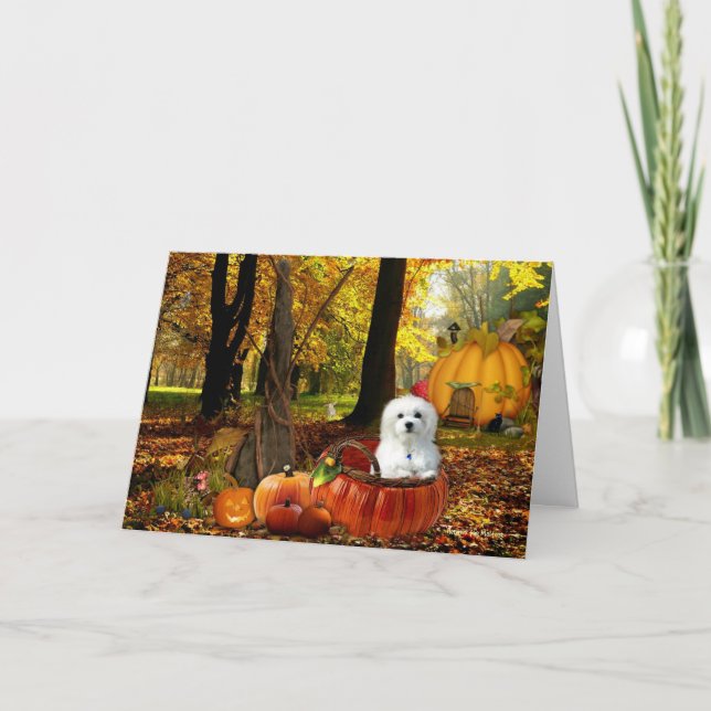 Carte Hermes le Maltais (Devant)