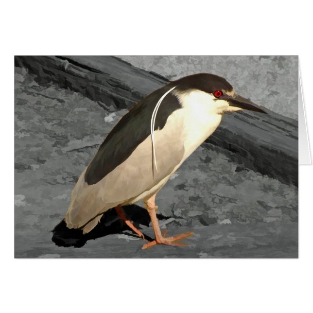 Carte Heron (Devant horizontal)