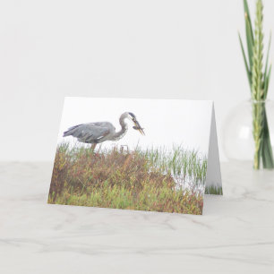 Carte Heron Bird Animaux sauvages Milieux humides