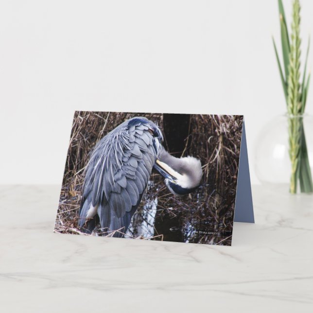 Carte Héron de toilettage (Devant)