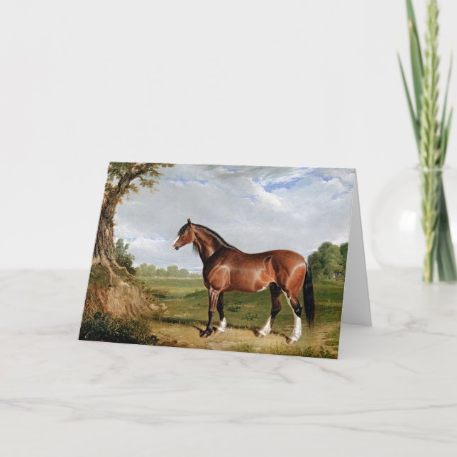 Carte Herring - Un Stallion Clydesdale, (Devant)