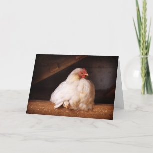 Carte hetty&chick