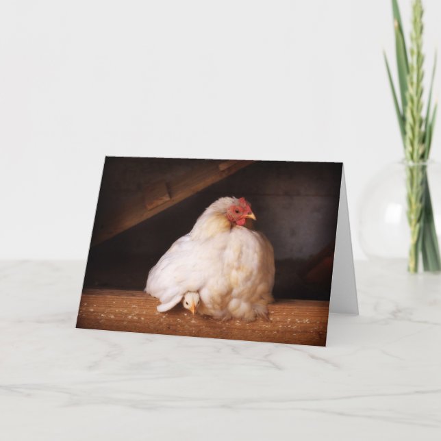 Carte hetty&chick (Devant)