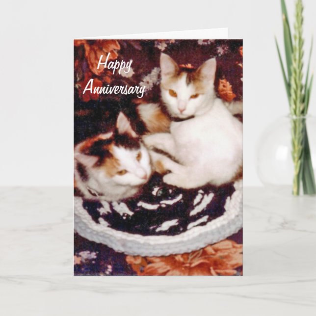 Carte heureuse de chat d'anniversaire (Devant)