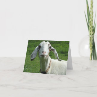 Carte heureuse de chèvre