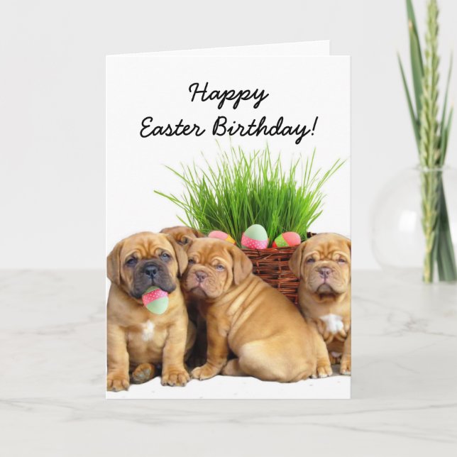 Carte heureuse de chiots de Pâques Birthday Dogue (Devant)