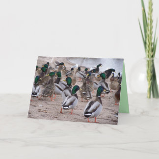 Carte heureuse de jour