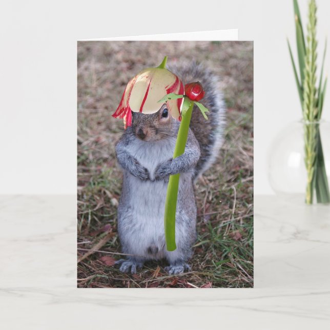 Carte heureuse de ressort de Squirel de ressort (Devant)