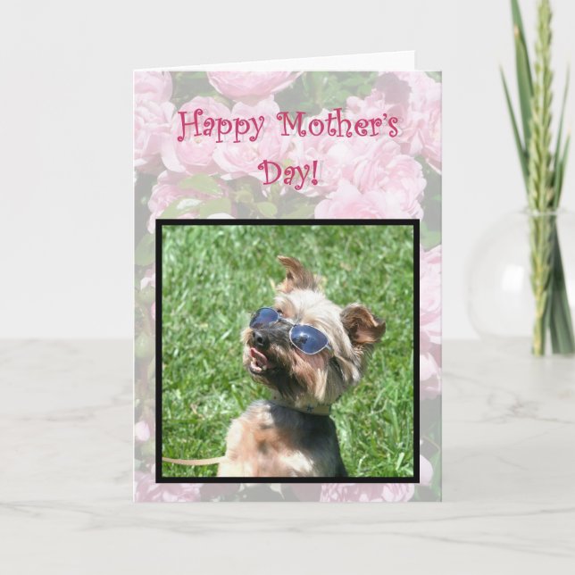 Carte heureuse de Yorskshire Terrier de cool du (Devant)