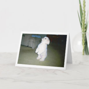 Carte heureuse maltaise de fête des pères