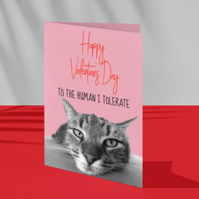 Carte Heureuse Sainte-Valentin De Chat À Humain Drôle (Créateur téléchargé)