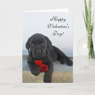 carte Heureuse Sainte-Valentin Labrador