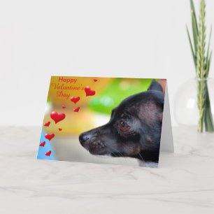 Carte Heureuse Sainte-Valentin Miniature Pinscher