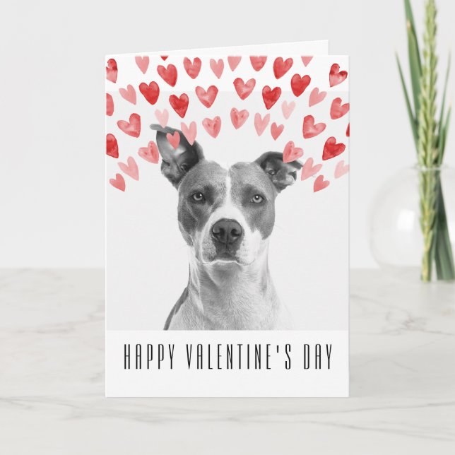 Carte Heureuse Sainte-Valentin personnalisé du chien (Devant)