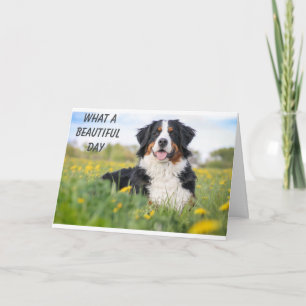 Carte HEUREUX **16ème** ANNIVERSAIRE DITES HEUREUX CHIEN