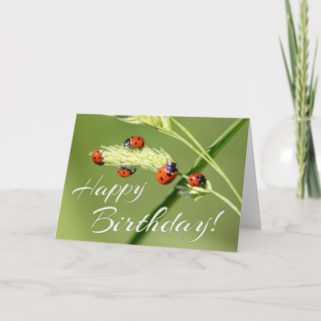 Carte Heureux anniversaire avec 5 petits coccinelles ! C (Devant)