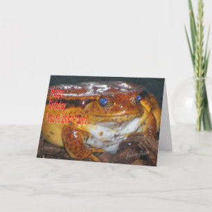 Carte Heureux Anniversaire Frog-Lookin Bon